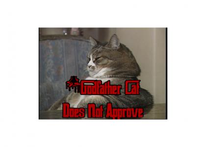 Godfather Cat does NOT approve!