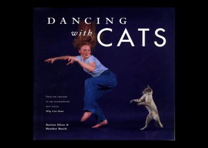 Dancing With Cats NEDM