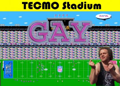 Tecmo Bowl = Gay