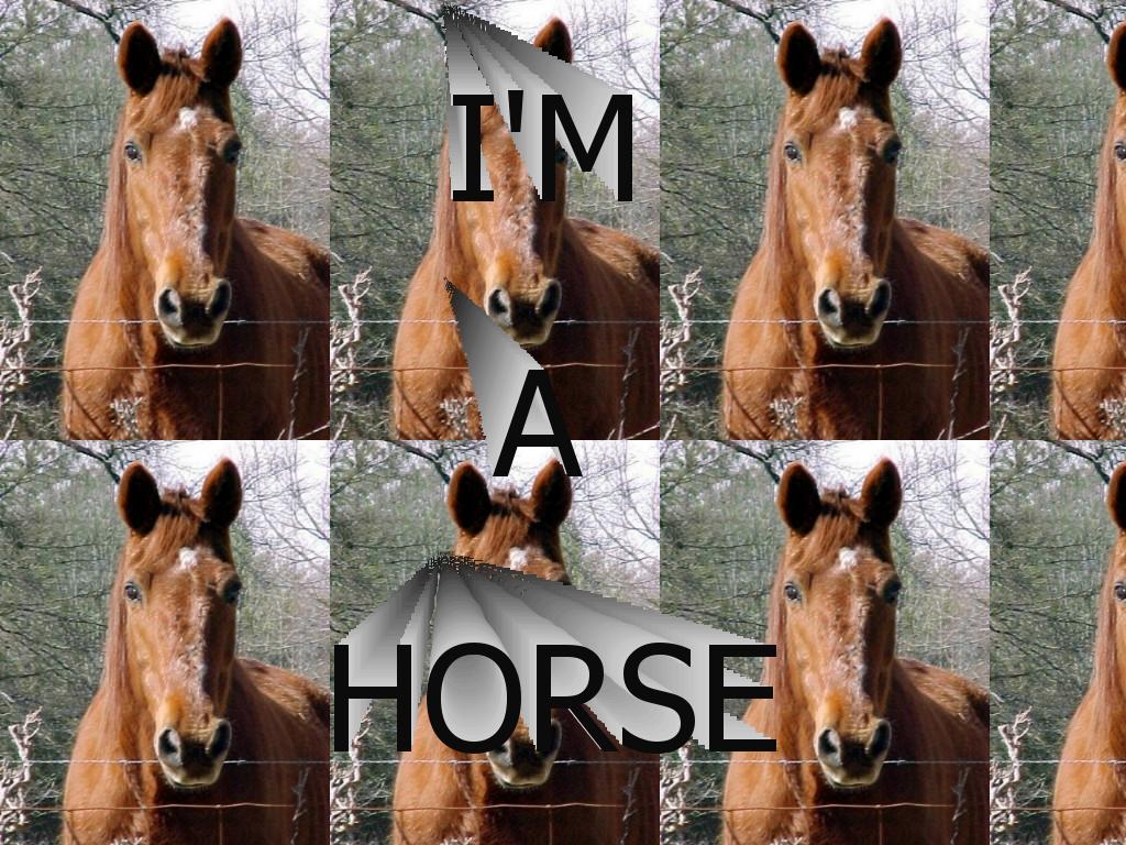 imahorse