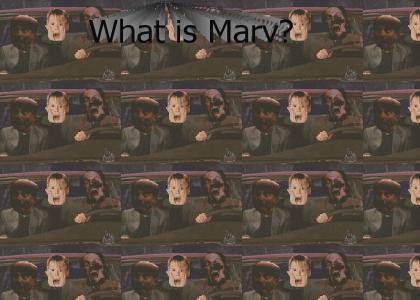 MARV: What is Marv?