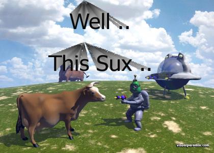 SurrenderCow!