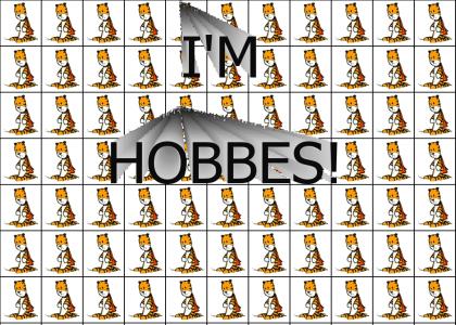 I'M HOBBES