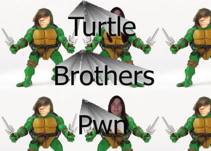 Turtle Brothers