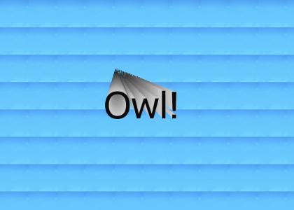 ringtone owl!!
