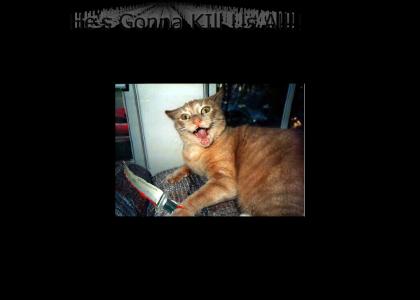 OMG, Crazy Psycho KIller Cat!!!!!