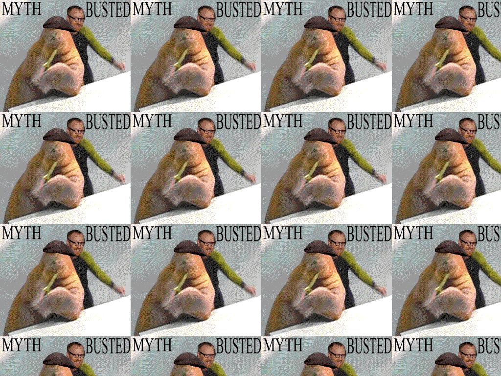 Bustedmythftw