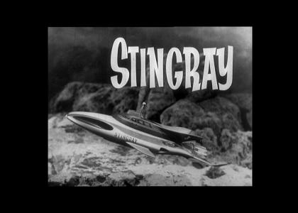 The Stingray that got Steve Irwin!