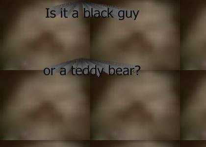 Black Man or Teddy Bear?