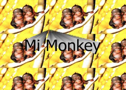 Mi Monkey