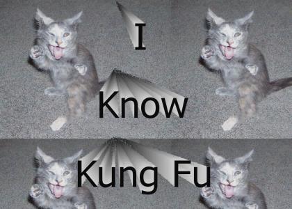 I Know Kung Fu