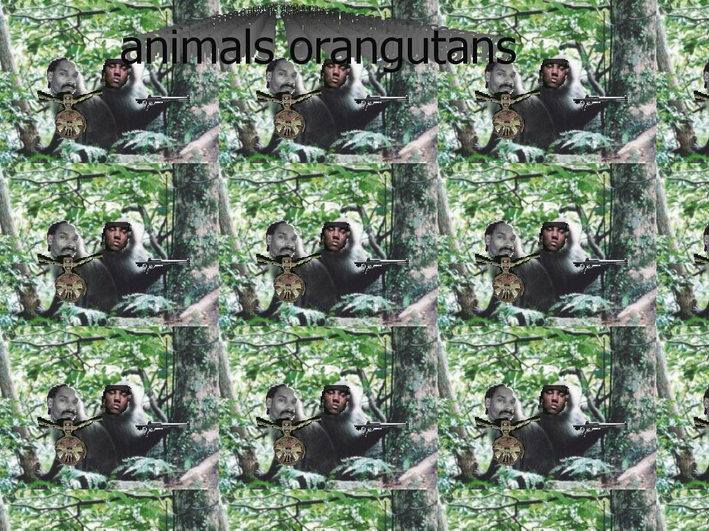 AnimalsLOL