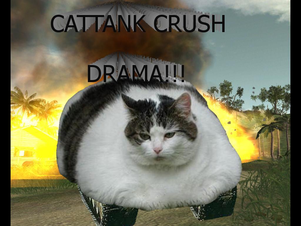 cattankisstrong