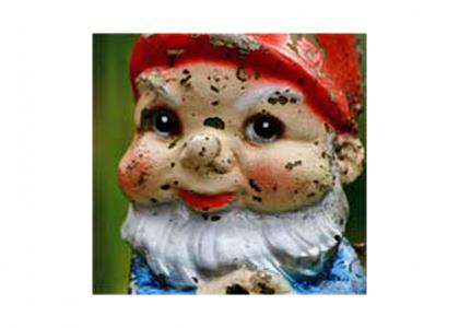 Gnome stares into your soul