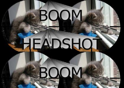 Headshot Kitty (New Sound)