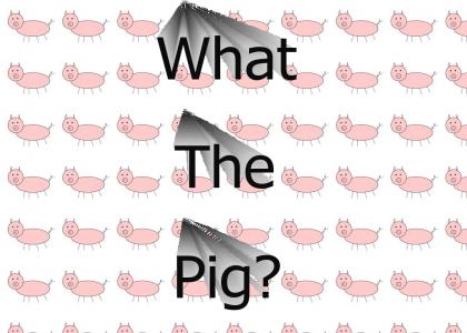 What the Pig?