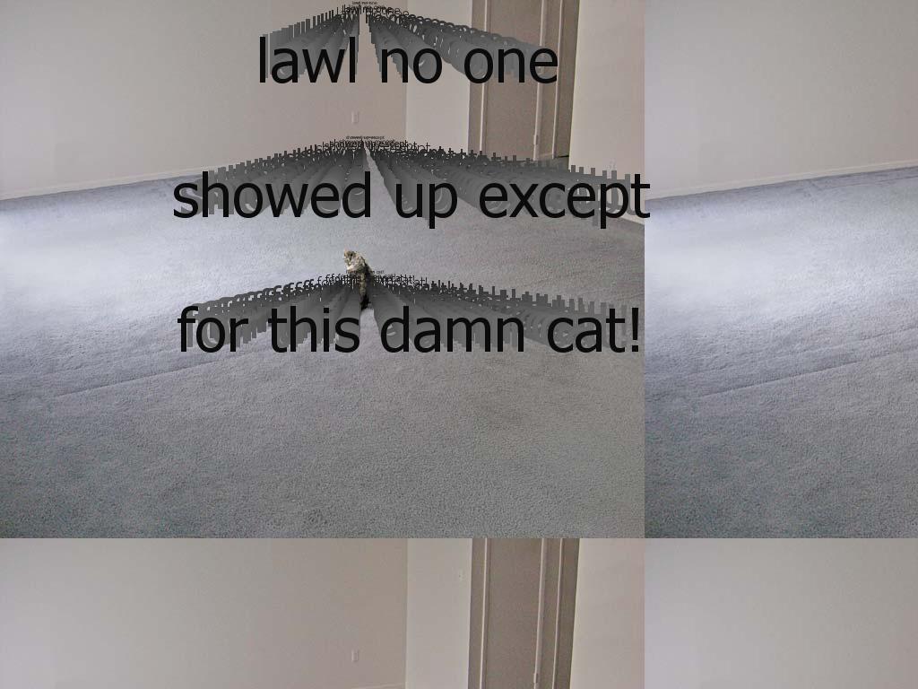 emptyroomwithacatonly99