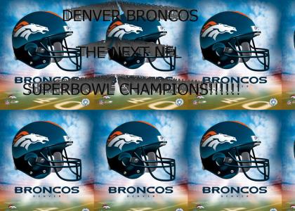 Denver Broncos- NFL Champions