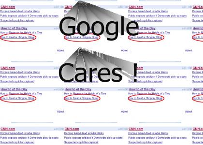Google Mourns Steve Irwin