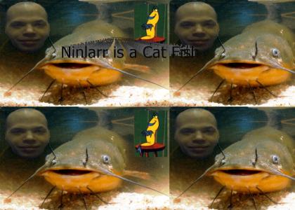 Ninlarr is a Cat Fish