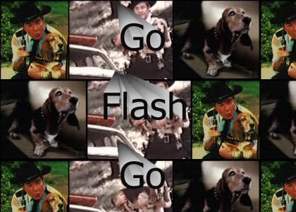 Roscoe Loves Flash