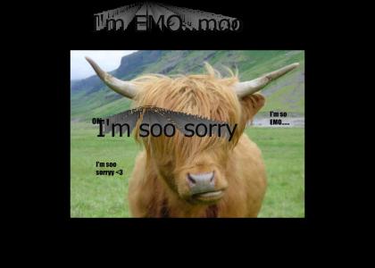 Emo Cow....