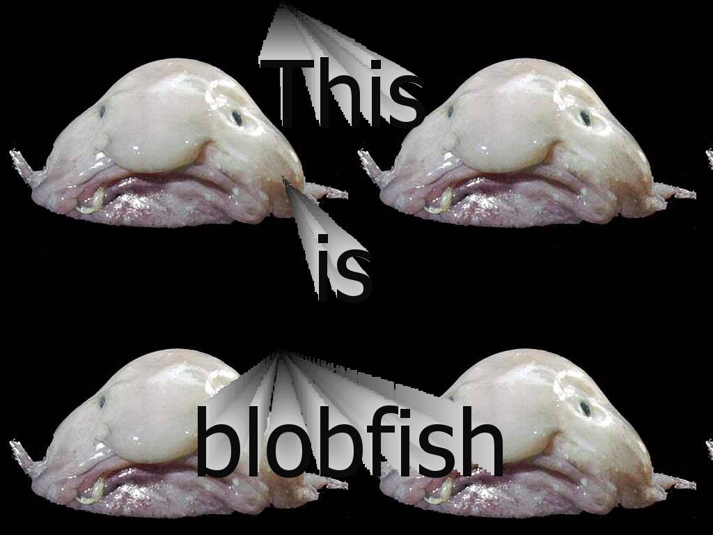 blobfish