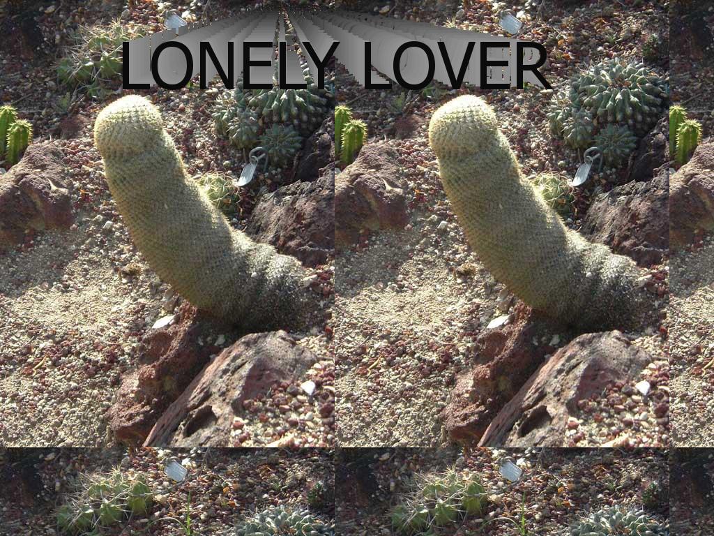 lonelylover