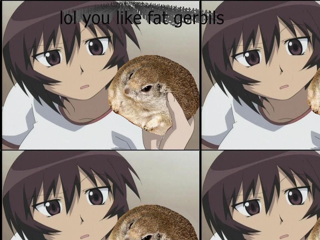 Fatgerbil