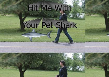 Hit Me With Your Pet Shark