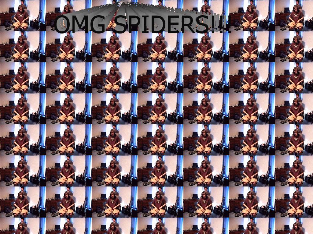 OMGspiders