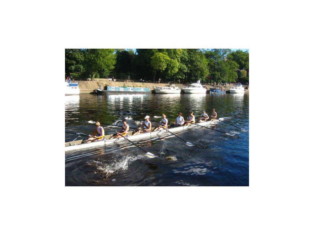 rowersarowing