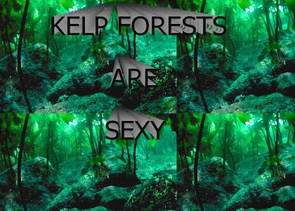 KELP FORESTS ARE SEXY