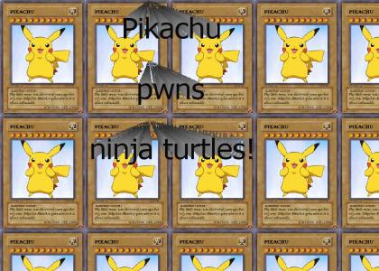 Pikachu owns NINJA TURTLES