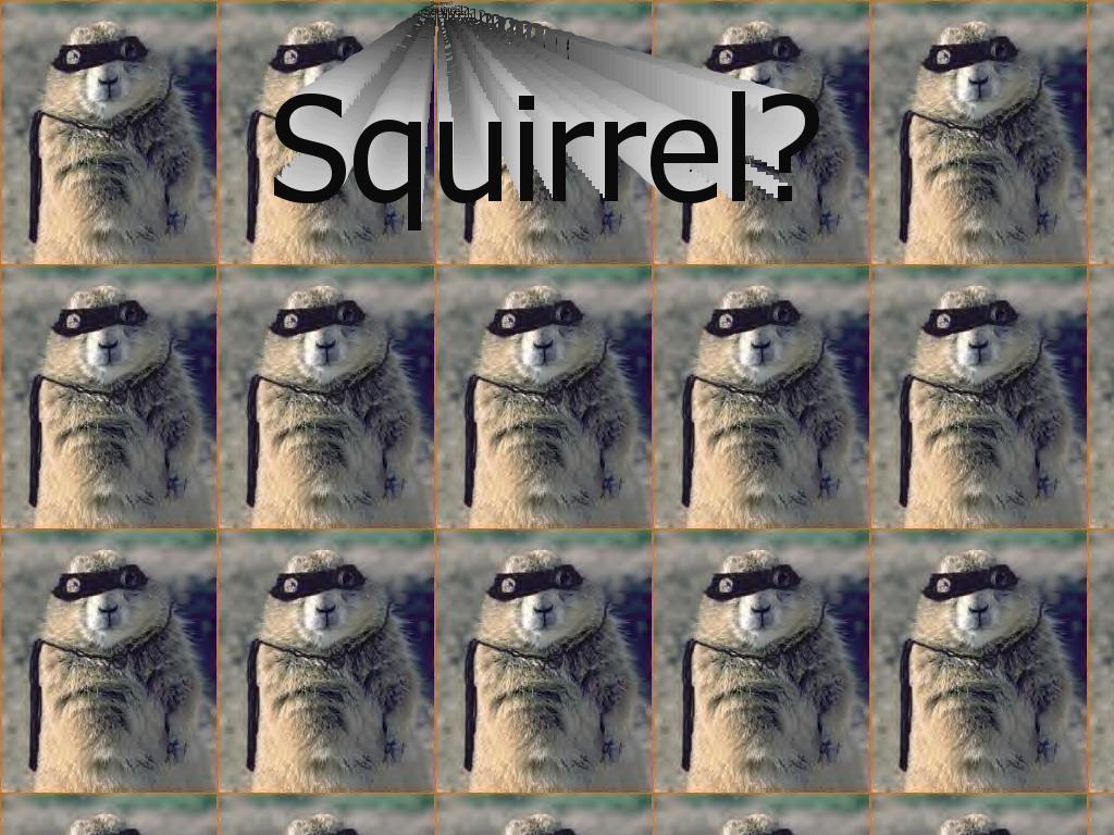 SquirrelSquirrelSquirrel