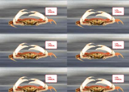LOL, I PINCH! [honda crab]