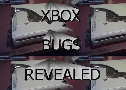 Xbox bugs revealed!