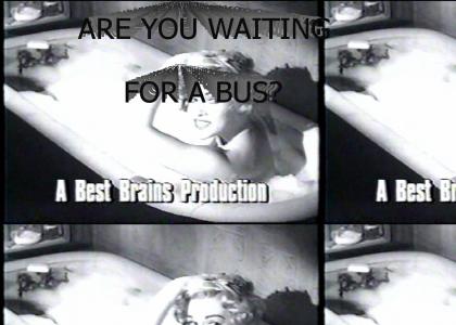 Are you waiting for a bus?
