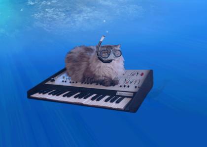 catonakeyboardsubmerged