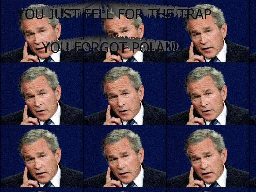 bushisawesome