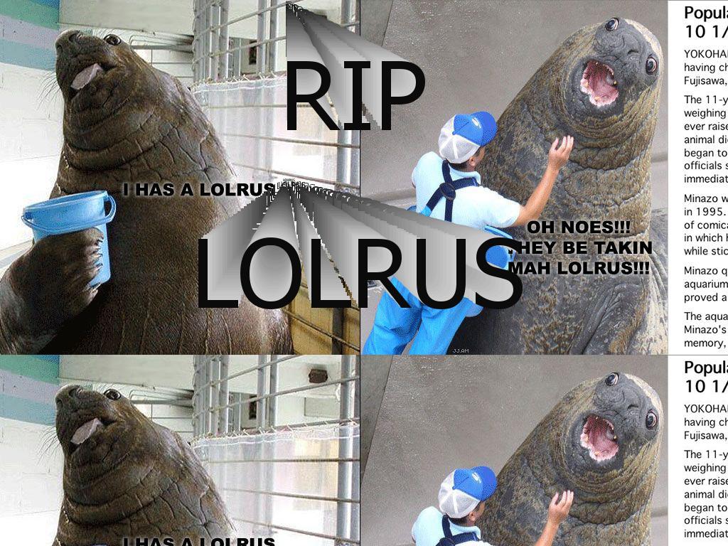 goodbyelolrus