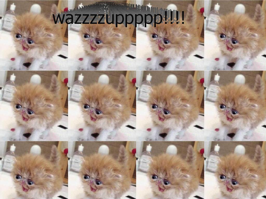 WAZZUPPP