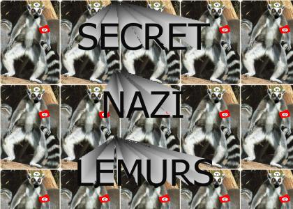 OMG Secret Nazi Lemurs!