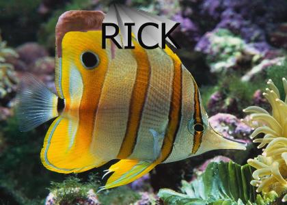 RICKFISH