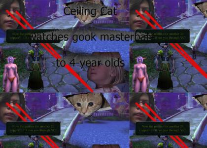 Gook + Ceiling Cat