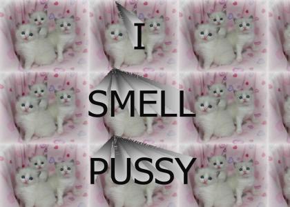 I smell pussy