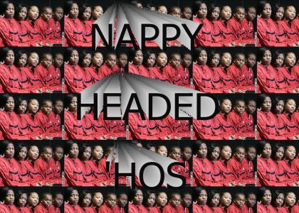 Those nappy-headed hos