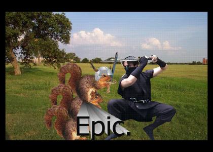 Viking Squirrels battle Epic Ninja