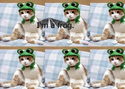 I'm a frog.