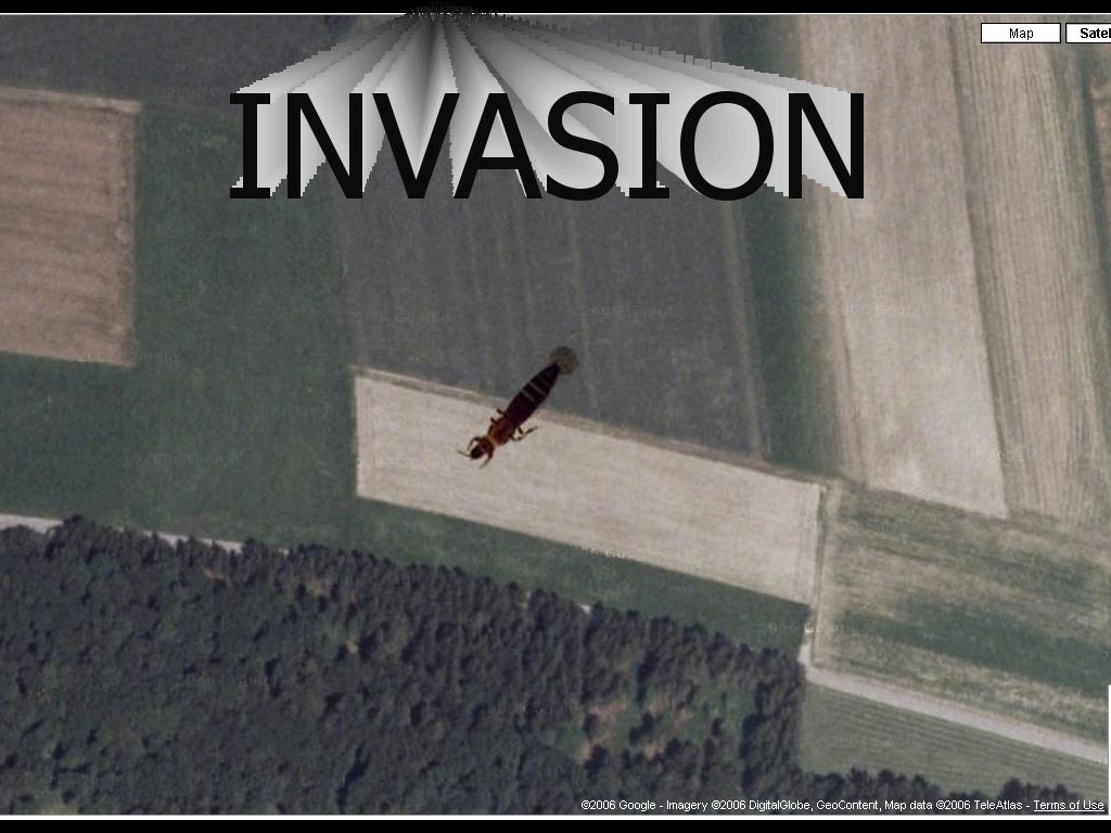 invasionofbugs